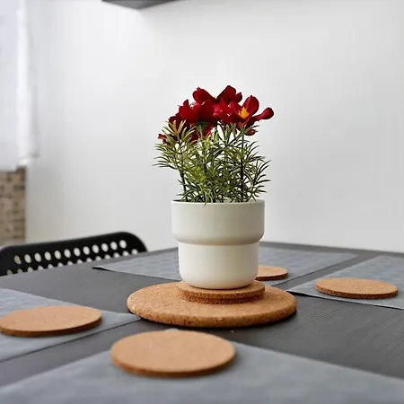 Lägenhet Estudio En La Cascada